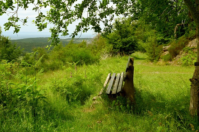 我们将迎来 我们将迎来