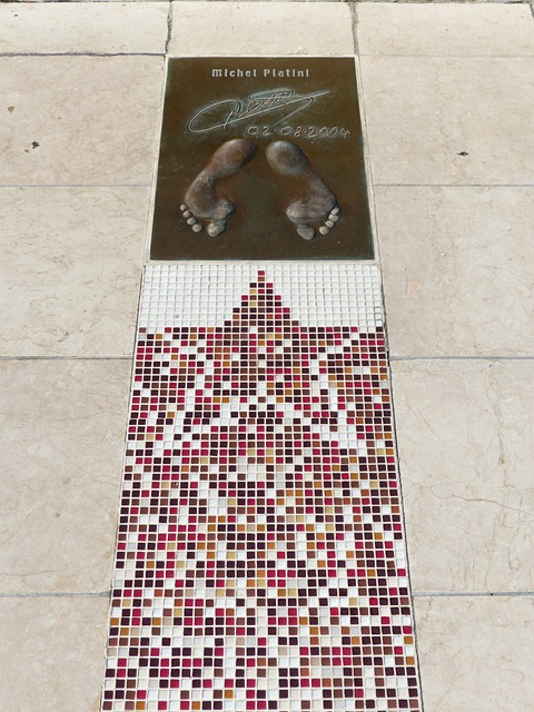 由专业教练 由专业教练