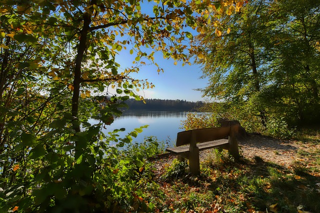 潜力巨大 潜力巨大